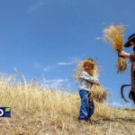 آغاز فصل زراعی؛ نبرد سخت در میدان مین چالش‌ها